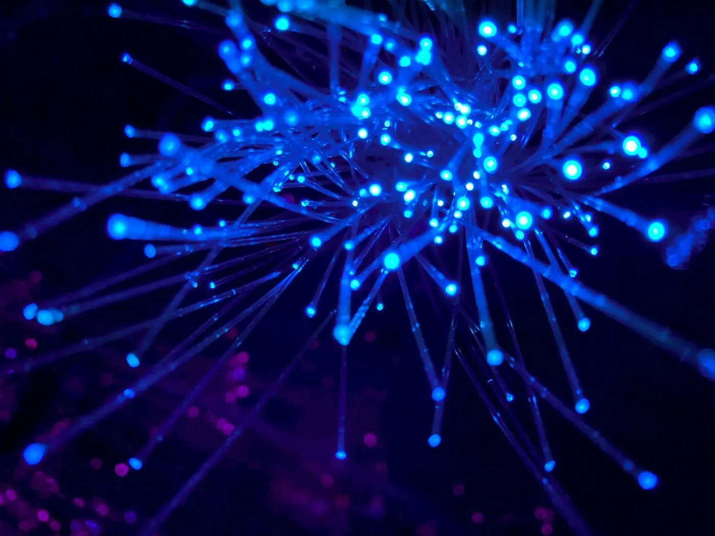 Fibre optique et réseau sécurisé, cybersécurité des logiciels et IA Genèse